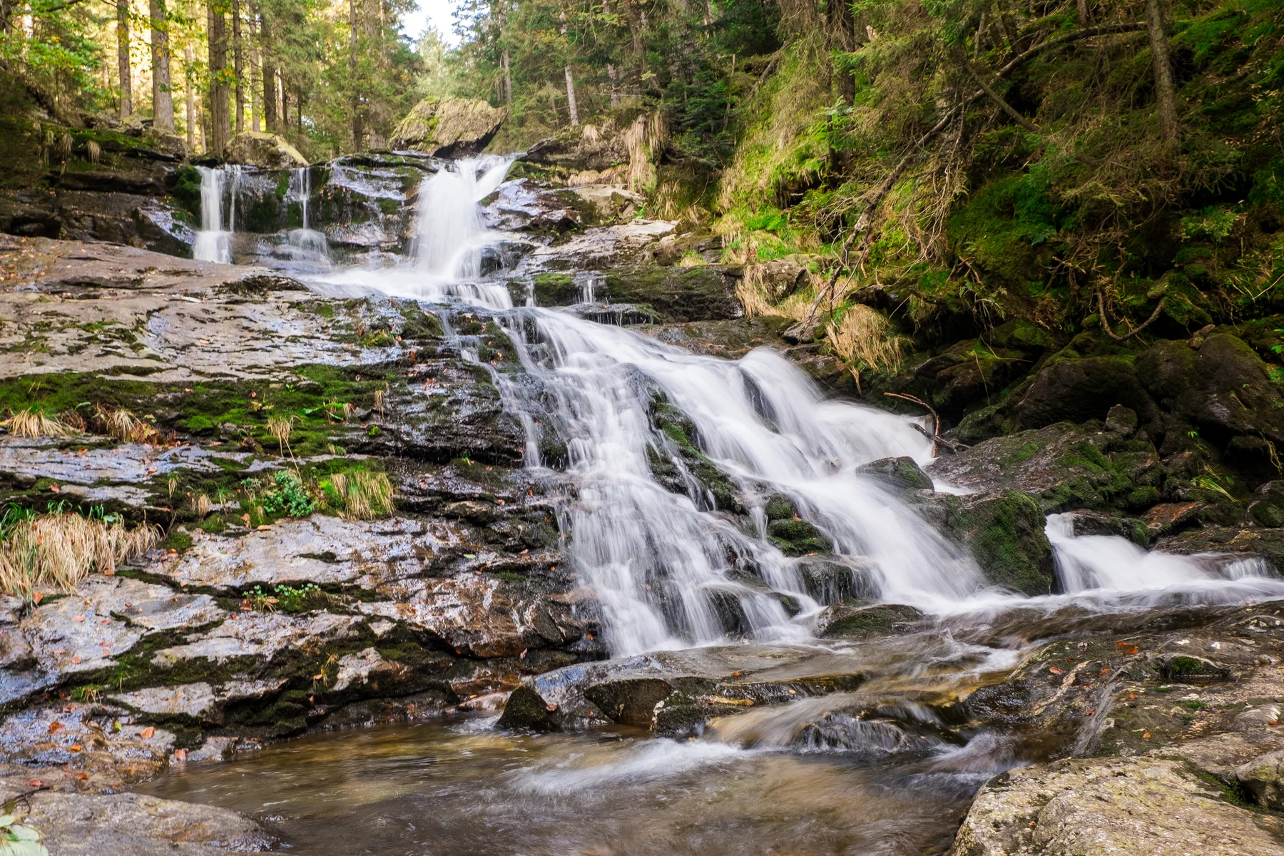 Wasserfall in einem Wald im Bayerischen Wald